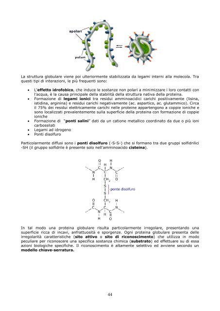 degli argomenti - ClinicaVirtuale.altervista.org