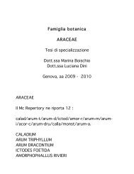 Famiglia botanica ARACEAE Tesi di specializzazione Dott.ssa ...