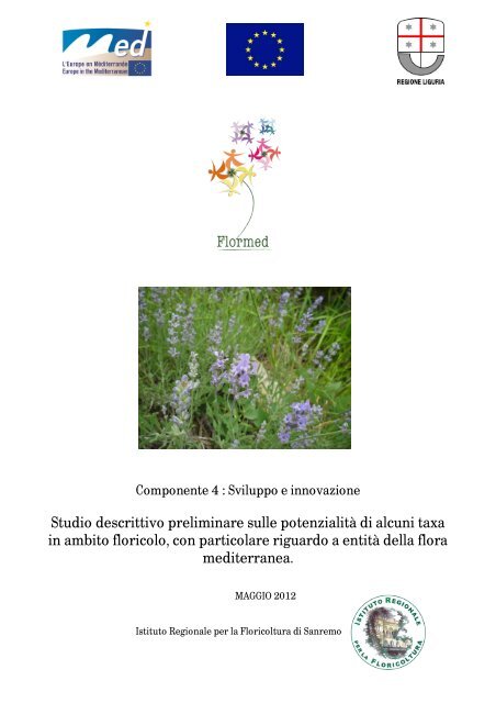 Tutori e supporti per la crescita delle piante - Bloomling Italia