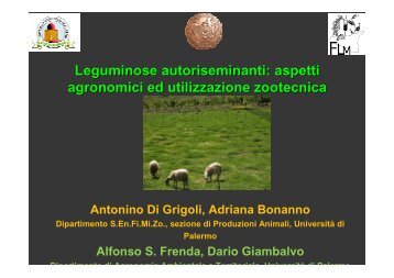 Leguminose autoriseminanti - Ermes Agricoltura