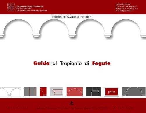 Leggi O Scarica La Nuova Guida 2008 Completa In Pdf