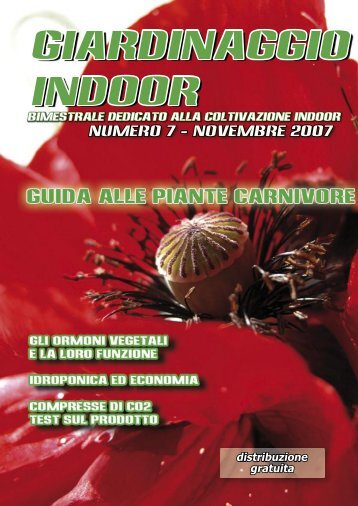 numero 7 - Giardinaggio indoor