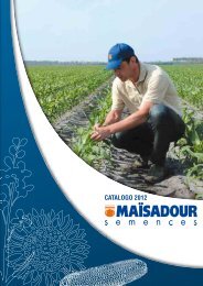 CATALOGO 2012 - Maïsadour Semences