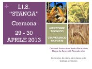 I.I.S. “STANGA” Cremona 29 - 30 APRILE 2013