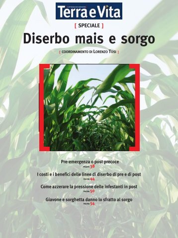 speciale diserbo mais e sorgo - Edagricole