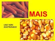 MAIS - Di.Pro.Ve