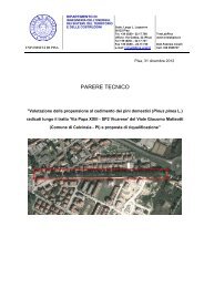 Relazione Finale del Prof. Cinelli sui pini di via Matteotti