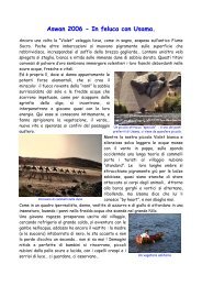 La feluca scorreva leggera sul fiume sacro, poche ... - Egittologia.net