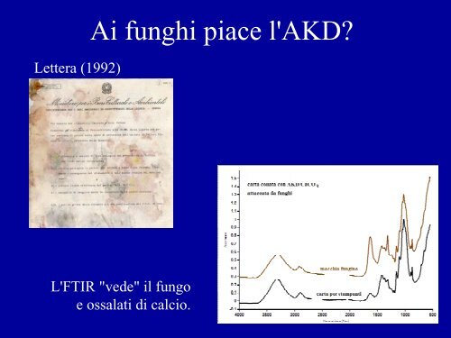 ANAI Calvini Chiggiato.pdf - Ass. Nazionale Archivistica Italiana ...