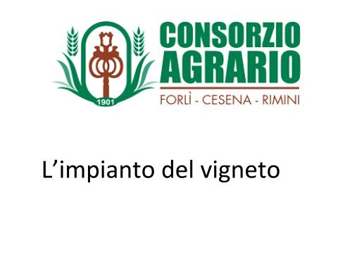 Impianto del vigneto: Andrea Rossi (Consorzio Agrario)