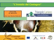 “L'innesto del Castagno” - Castagneti dell'Insubria