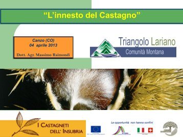 “L'innesto del Castagno” - Castagneti dell'Insubria
