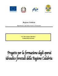 Leggi il progetto - Regione Calabria