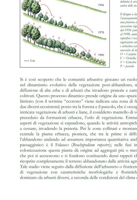 Biodiversità Marche - Orto Botanico