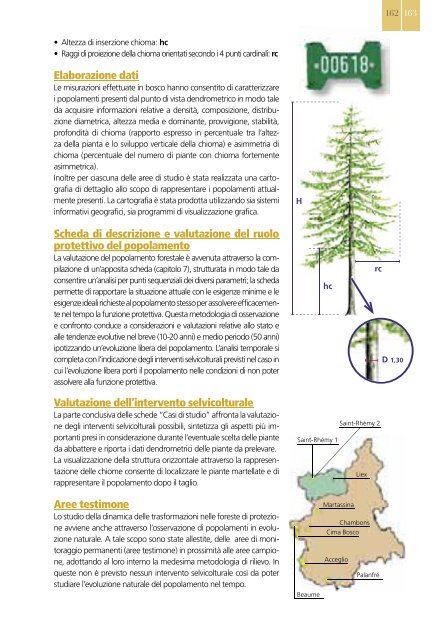 Selvicoltura nelle foreste di protezione - INTERREG Forêts de ...