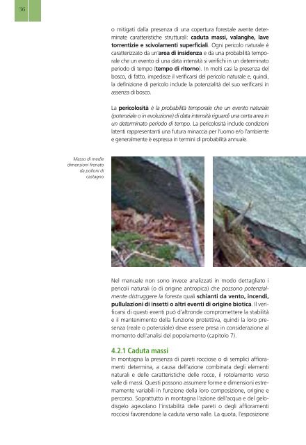 Selvicoltura nelle foreste di protezione - INTERREG Forêts de ...