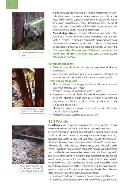 Selvicoltura nelle foreste di protezione - INTERREG Forêts de ...