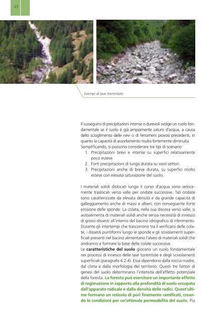 Selvicoltura nelle foreste di protezione - INTERREG Forêts de ...