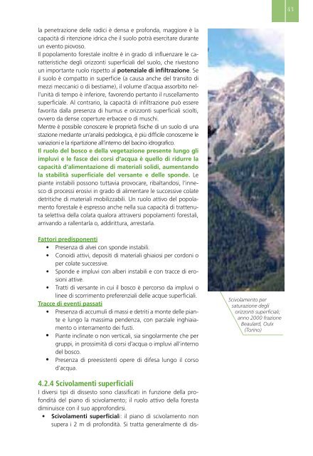 Selvicoltura nelle foreste di protezione - INTERREG Forêts de ...