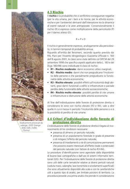 Selvicoltura nelle foreste di protezione - INTERREG Forêts de ...