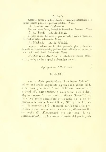 Memorie sulla storia e notomia degli animali senza vertebre del ...