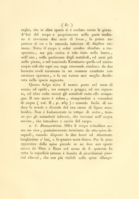 Memorie sulla storia e notomia degli animali senza vertebre del ...