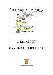 I CIRABEBE' OVVERO LE LIBELLULE - Provincia di Novara