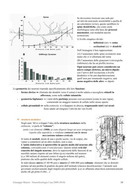 Giuseppe Marini : Neurofisiologia I (aa.2009-2010) 1 - AppuntiMed