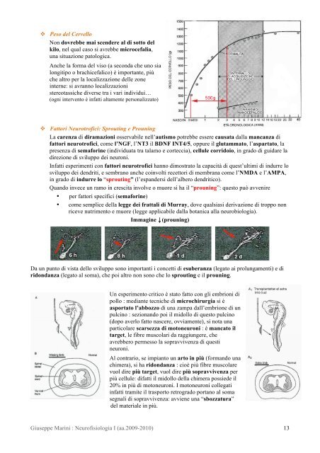 Giuseppe Marini : Neurofisiologia I (aa.2009-2010) 1 - AppuntiMed