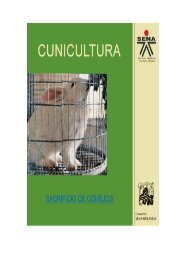 10. sacrificio de conejos - Biblioteca Sena