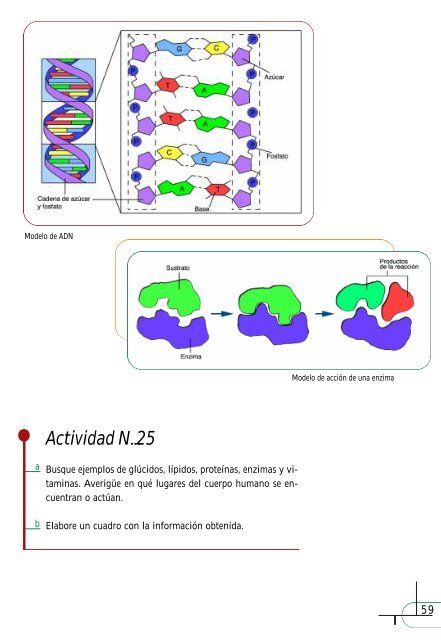 Ciencias Naturales Nivel III - Región Educativa 11