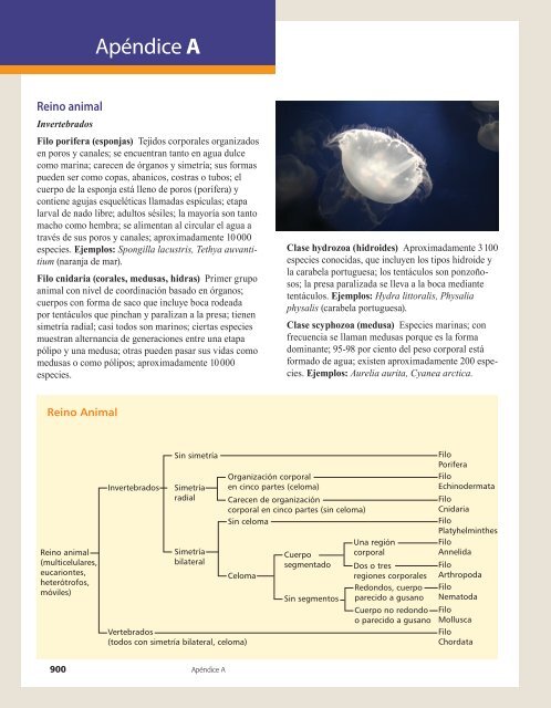 apendices.pdf (25865.0K)