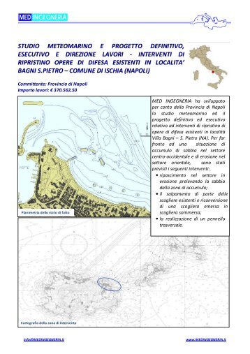 Scheda progetto - med ingegneria