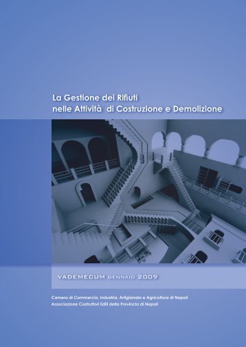 La Gestione dei Rifiuti nelle Attività di Costruzione e ... - ACEN