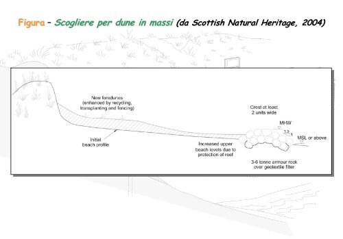 Linee Guida per gli interventi di difesa ambientale delle dune ... - catap