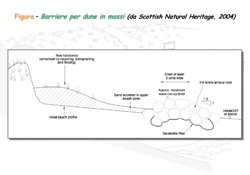 Linee Guida per gli interventi di difesa ambientale delle dune ... - catap