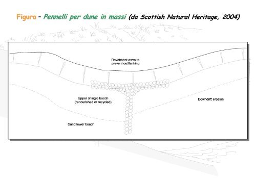 Linee Guida per gli interventi di difesa ambientale delle dune ... - catap