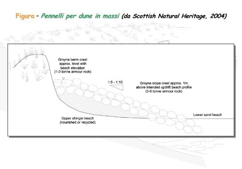 Linee Guida per gli interventi di difesa ambientale delle dune ... - catap