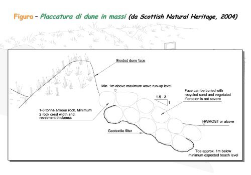 Linee Guida per gli interventi di difesa ambientale delle dune ... - catap