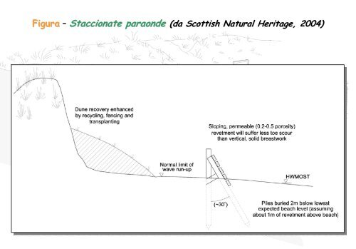 Linee Guida per gli interventi di difesa ambientale delle dune ... - catap