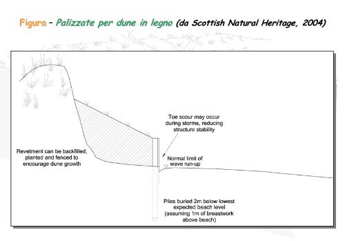 Linee Guida per gli interventi di difesa ambientale delle dune ... - catap