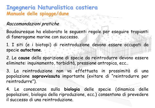 Linee Guida per gli interventi di difesa ambientale delle dune ... - catap