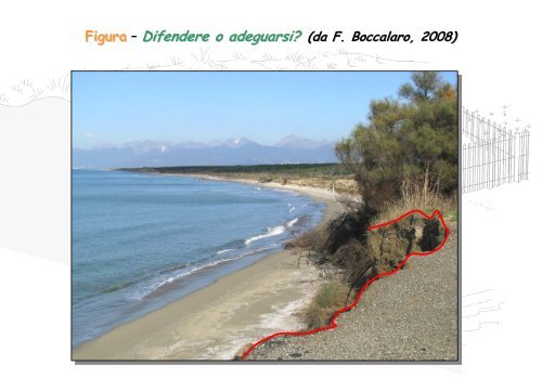 Linee Guida per gli interventi di difesa ambientale delle dune ... - catap