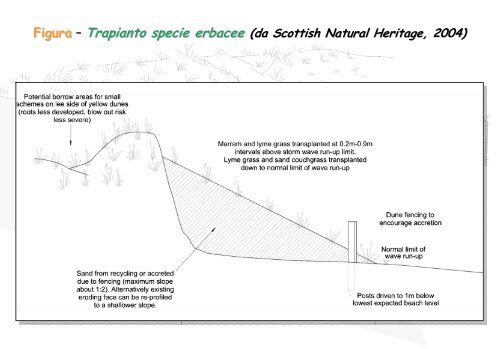 Linee Guida per gli interventi di difesa ambientale delle dune ... - catap