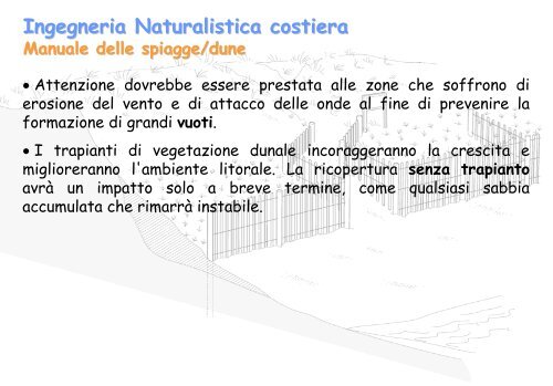 Linee Guida per gli interventi di difesa ambientale delle dune ... - catap