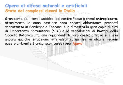 Linee Guida per gli interventi di difesa ambientale delle dune ... - catap