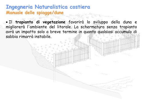 Linee Guida per gli interventi di difesa ambientale delle dune ... - catap