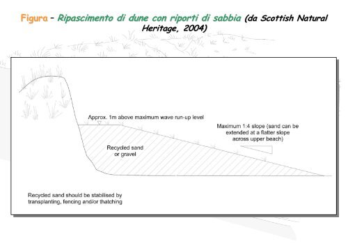 Linee Guida per gli interventi di difesa ambientale delle dune ... - catap