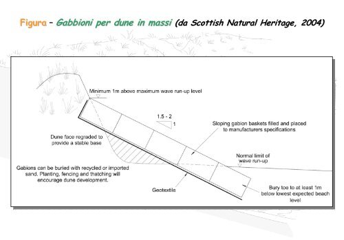Linee Guida per gli interventi di difesa ambientale delle dune ... - catap