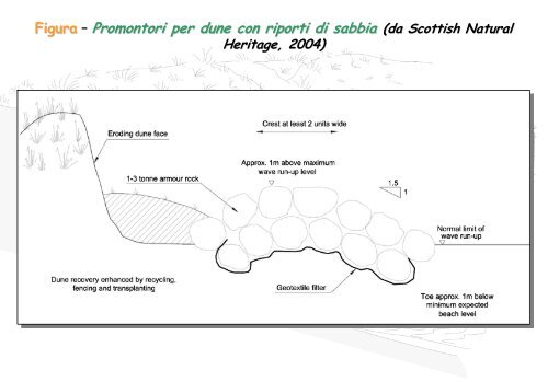 Linee Guida per gli interventi di difesa ambientale delle dune ... - catap